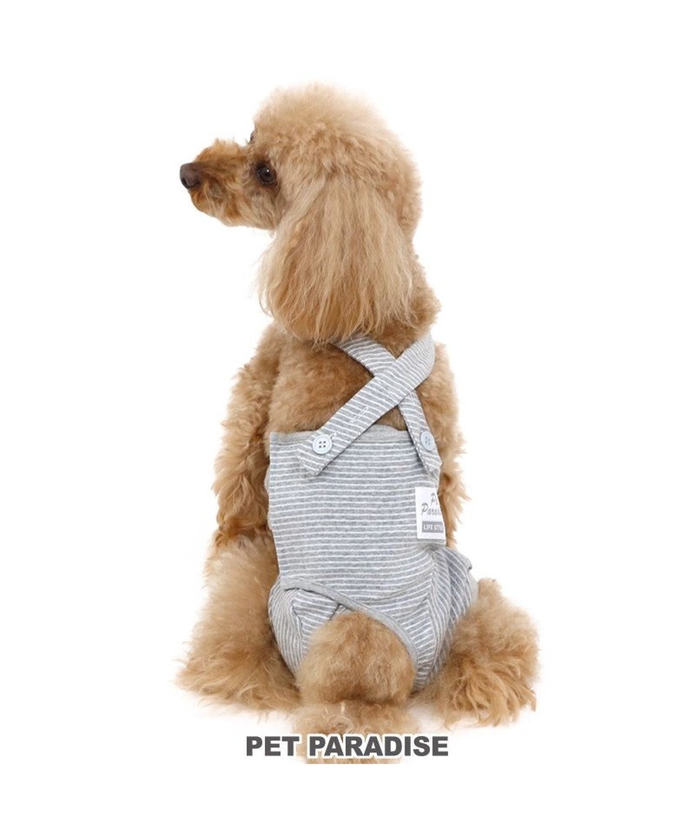 犬 服 夏服 マナーオール グレー 小型犬 オムツ おむつ 術後服 サニタリー マナーベルト マナーパンツ Pet Paradise 通販 雑貨とペット用品の通販サイト マザーガーデン ペットパラダイス 犬 服 夏服 マナーオール グレー 小型犬 オムツ おむつ 術後服 サニタリー マナーベルト マナーパンツ Pet Paradise 通販 雑貨とペット用品の通販サイト マザーガーデン ペットパラダイス