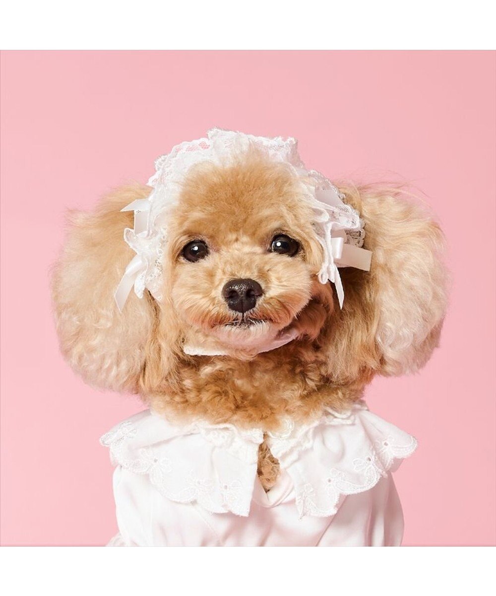 PET PARADISE cherircouture ヘッドドレス ４Ｓ～３Ｓ / ＳＳ～Ｓ 