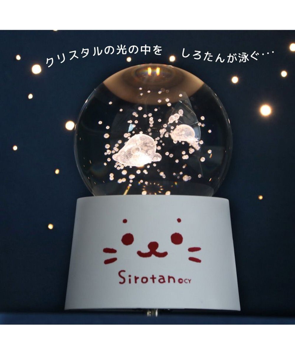 Mother garden しろたん アクア メロディーグローブ 