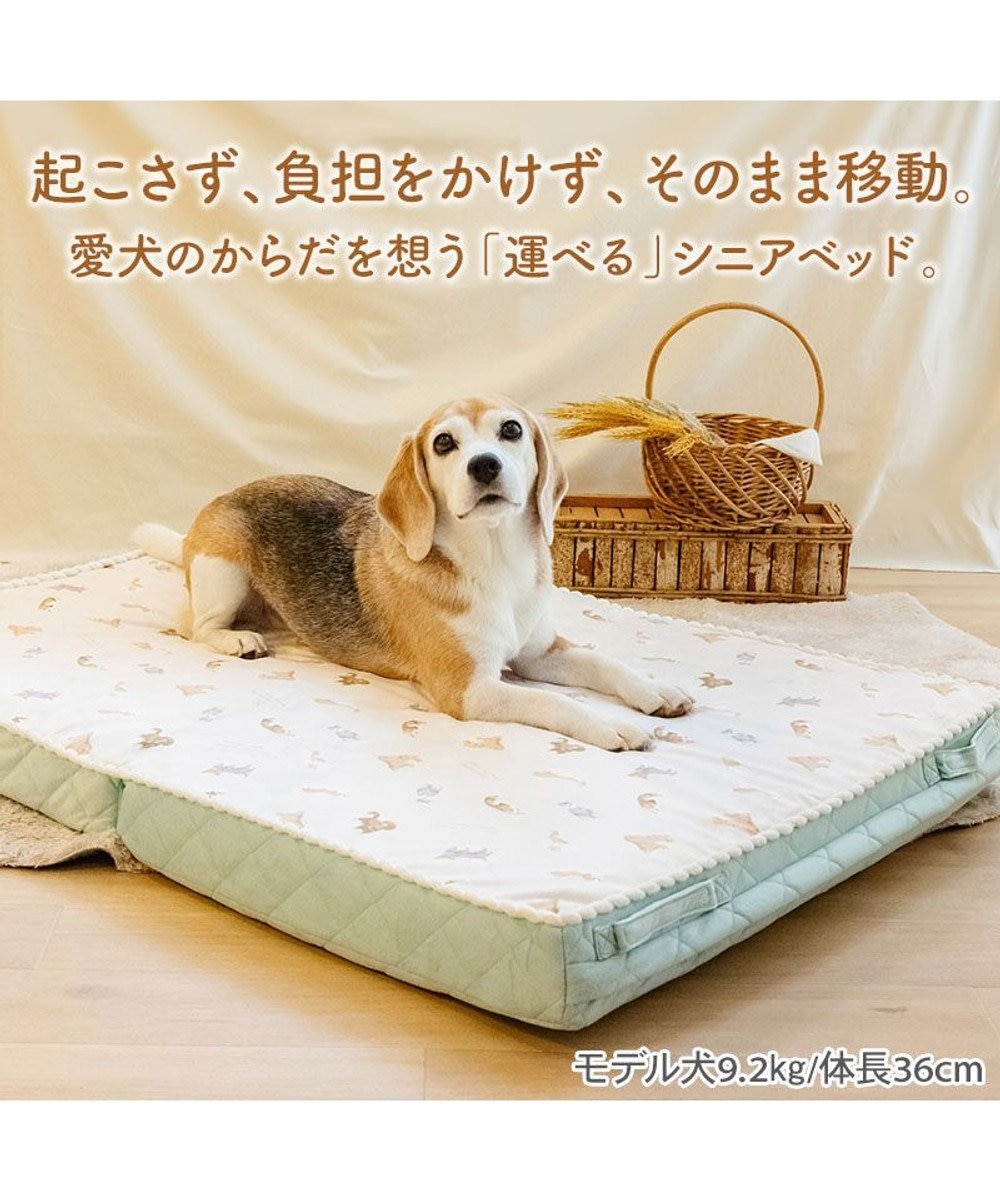 PET PARADISE ペットパラダイス makokoro シニアベッド 《犬柄》 Ｌ 