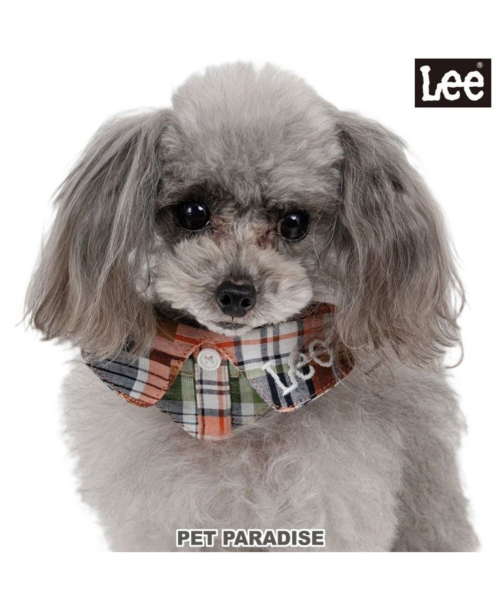 PET PARADISE Lee チェック襟付首輪 ＳＳ 小型犬 マドラスチェック