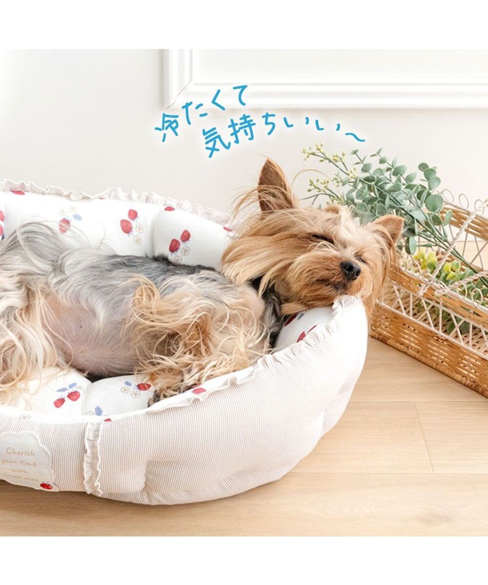 PET PARADISE ペットパラダイス クールカドラー 丸型 《苺花柄》 Ｓ 