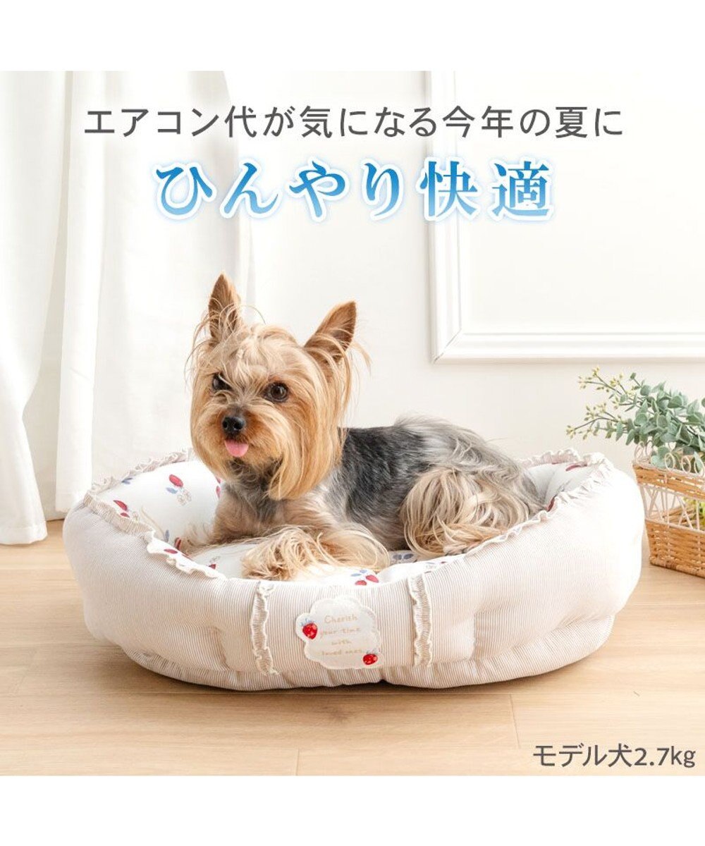 PET PARADISE ペットパラダイス クールカドラー 丸型 《苺花柄》 Ｓ 
