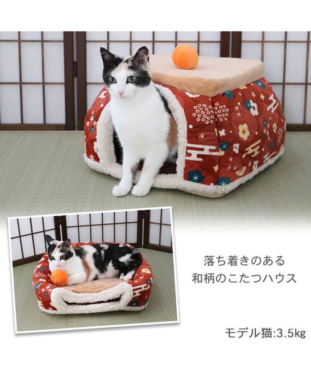 Amazon | ペットパラダイス 犬 ペットベッド クッション付き