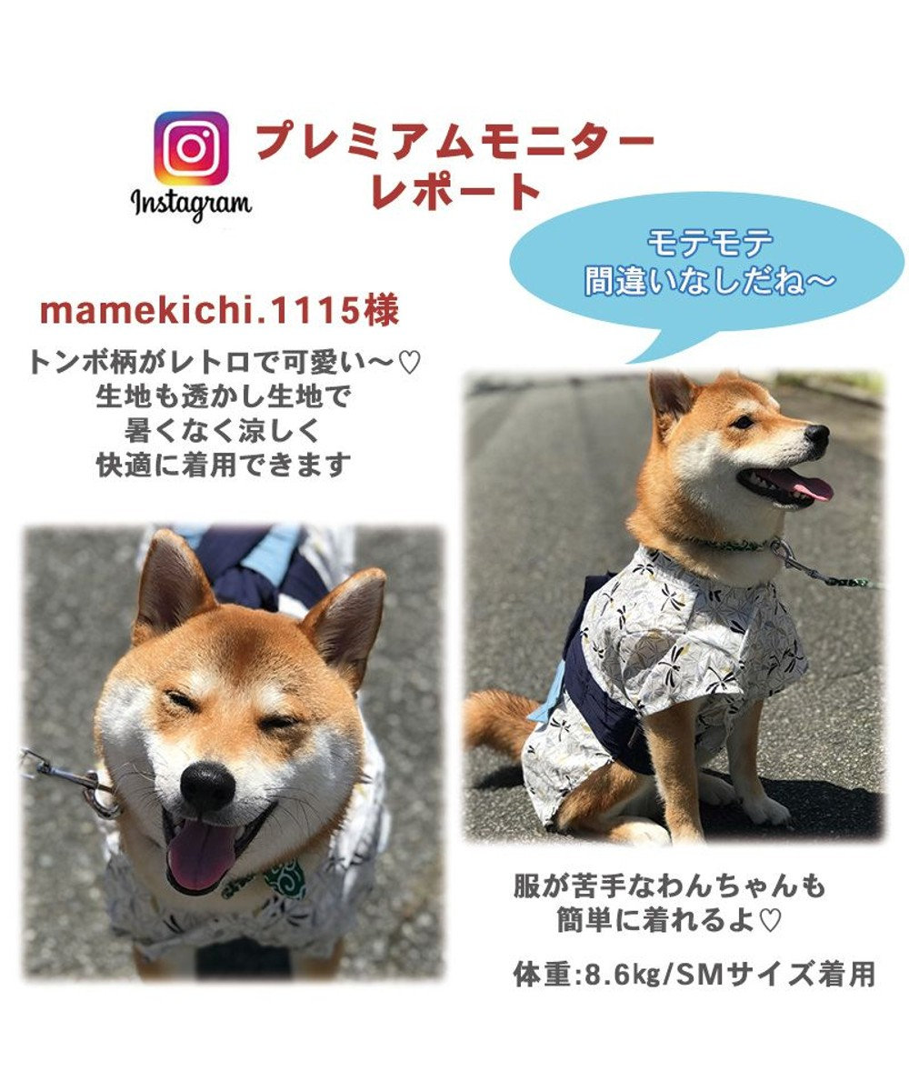 専用！犬服 Msize 男前浴衣 コスチューム ウェアno60