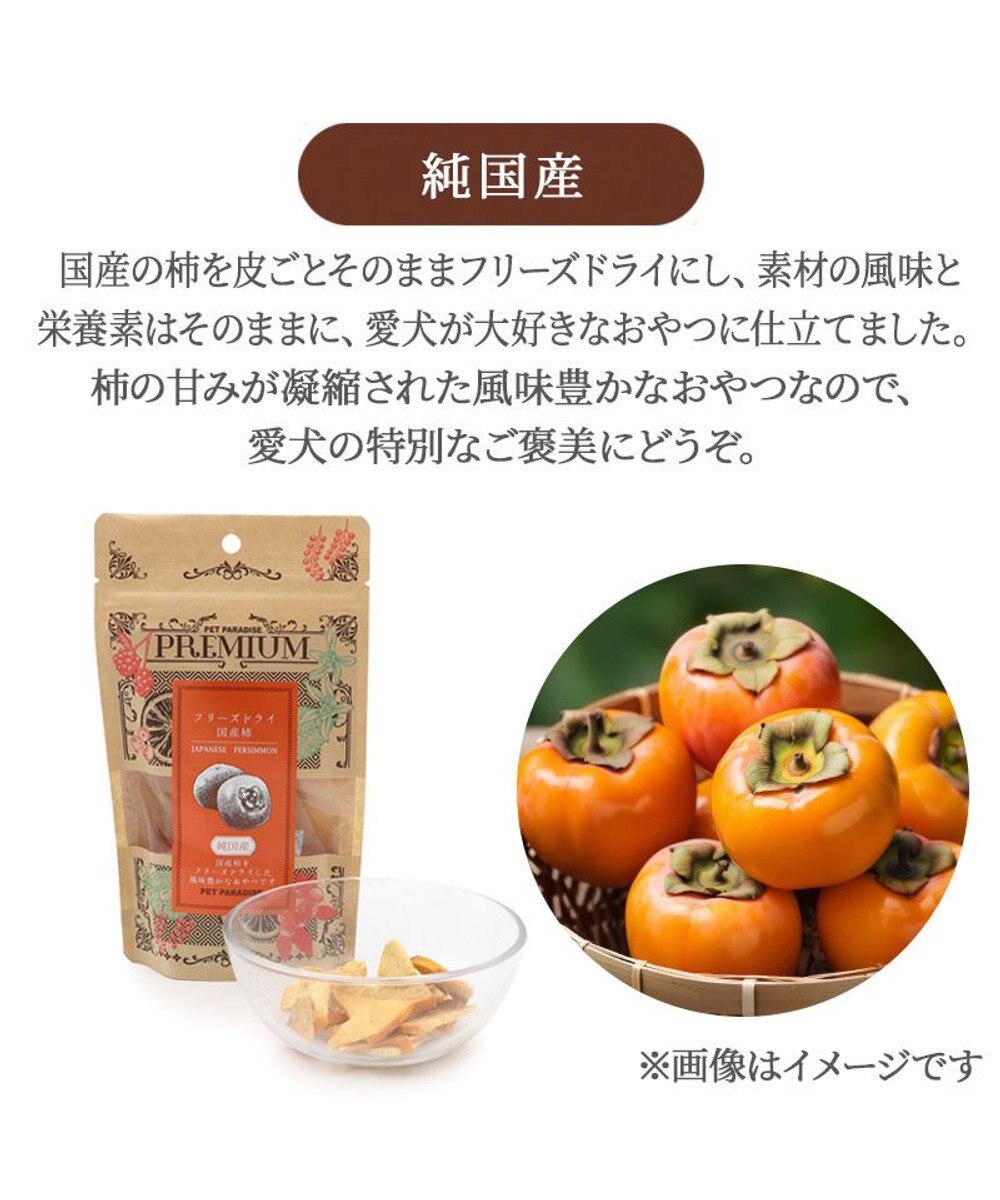 PET PARADISE ペットパラダイス プレミアムフード フリーズドライ 柿 10g 