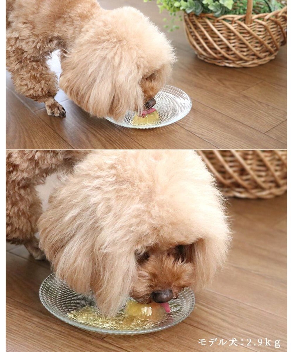 PET PARADISE 【賞味期限が12/29のため 半額】りんごゼリー 10個入り 国産 