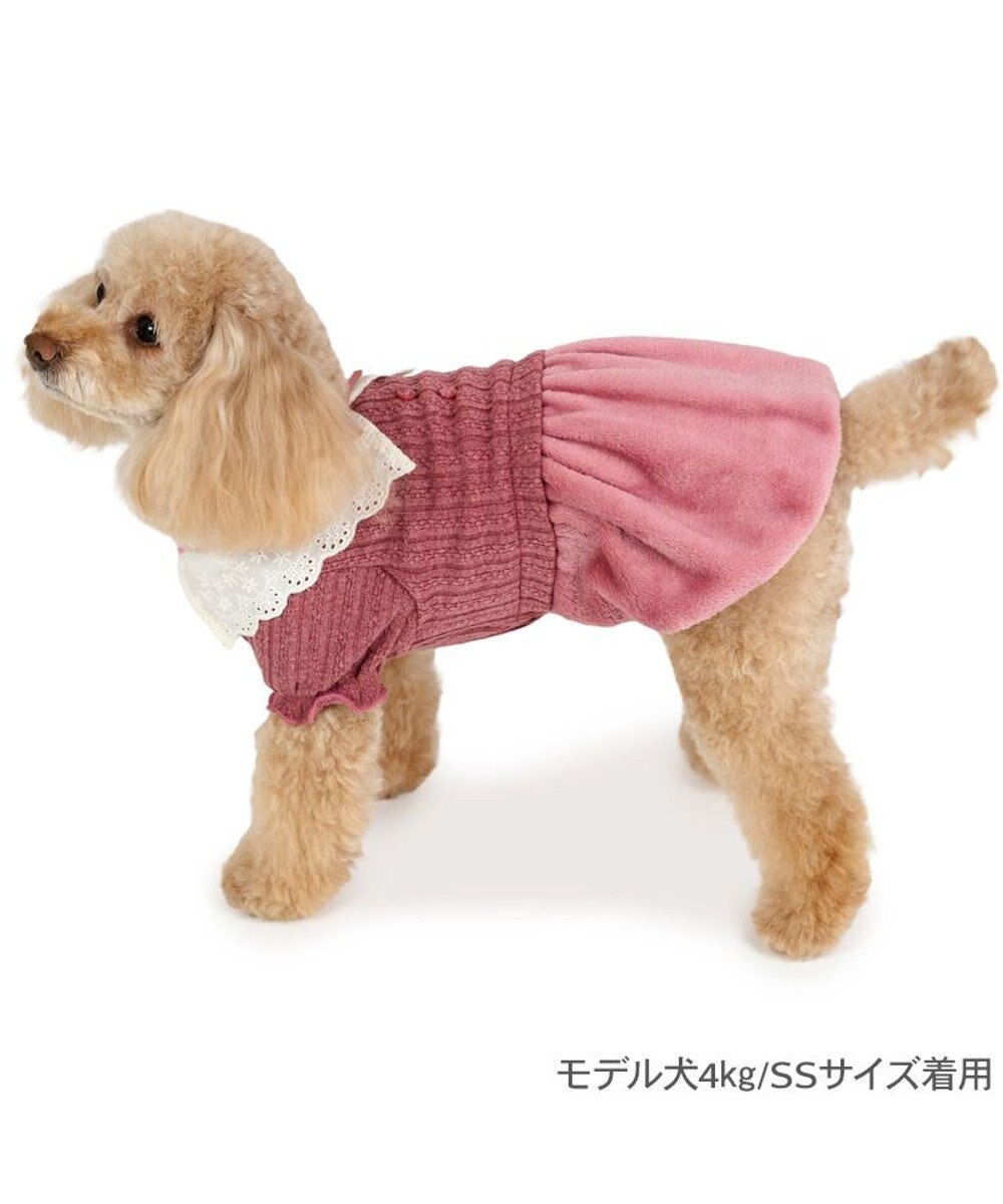 PET PARADISE ペットパラダイス レース襟 ワンピース 小型犬 