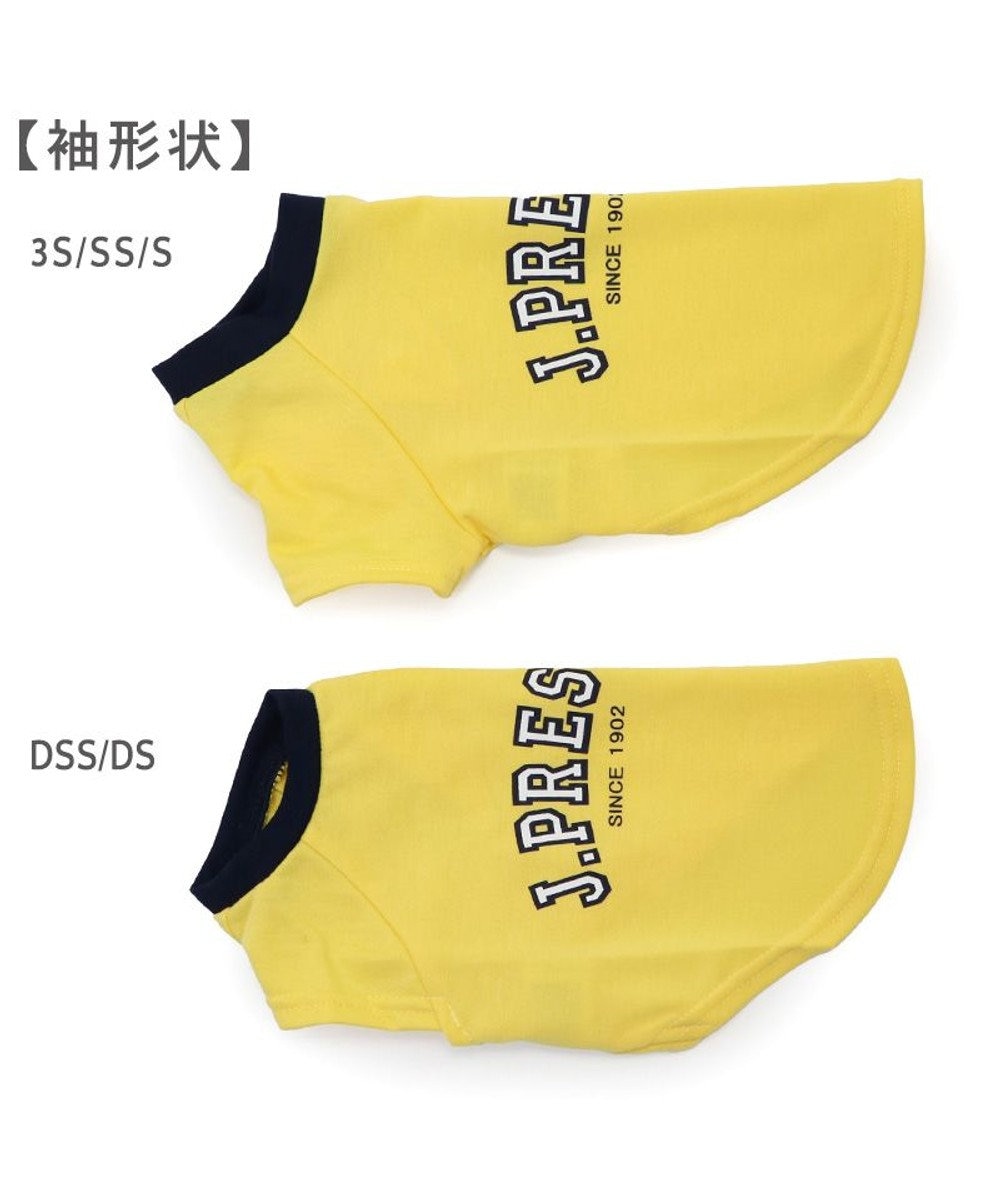 J.PRESS カレッジ Tシャツ 小型犬 / PET PARADISE | 【通販