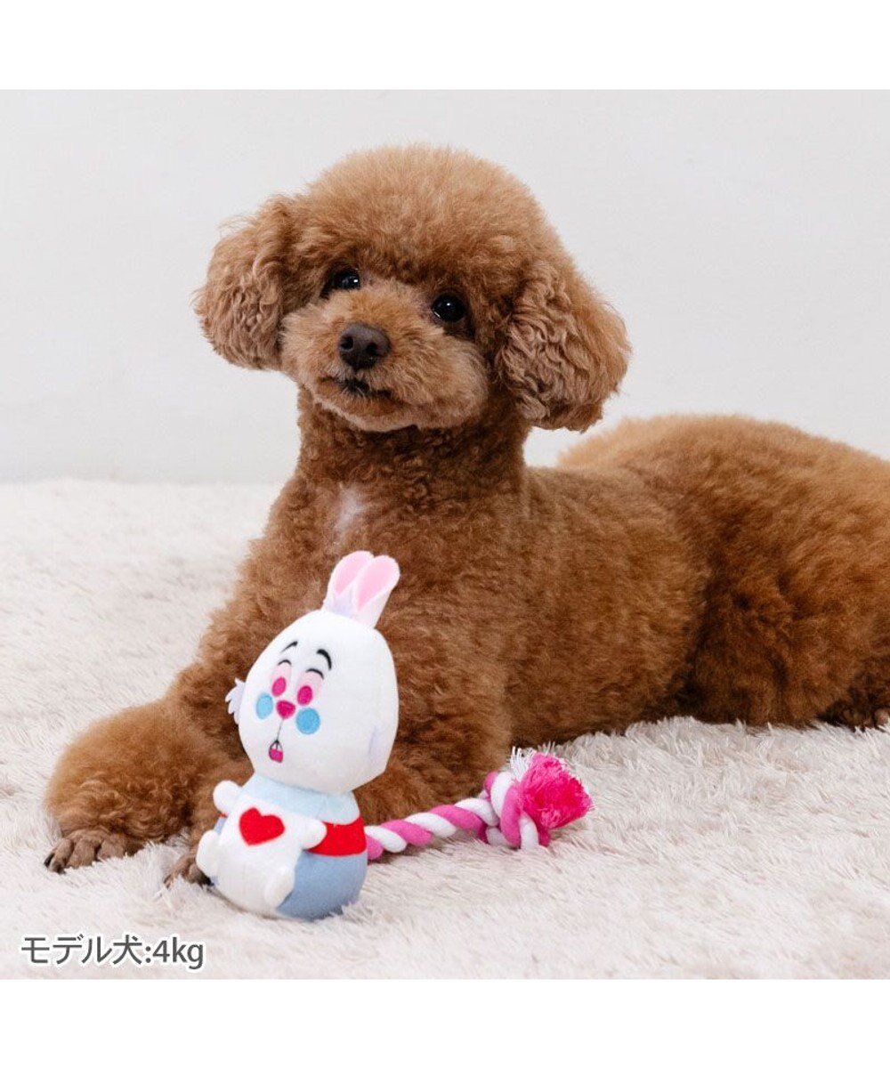 PET PARADISE ディズニー アリス 白うさぎ ロープトイ 