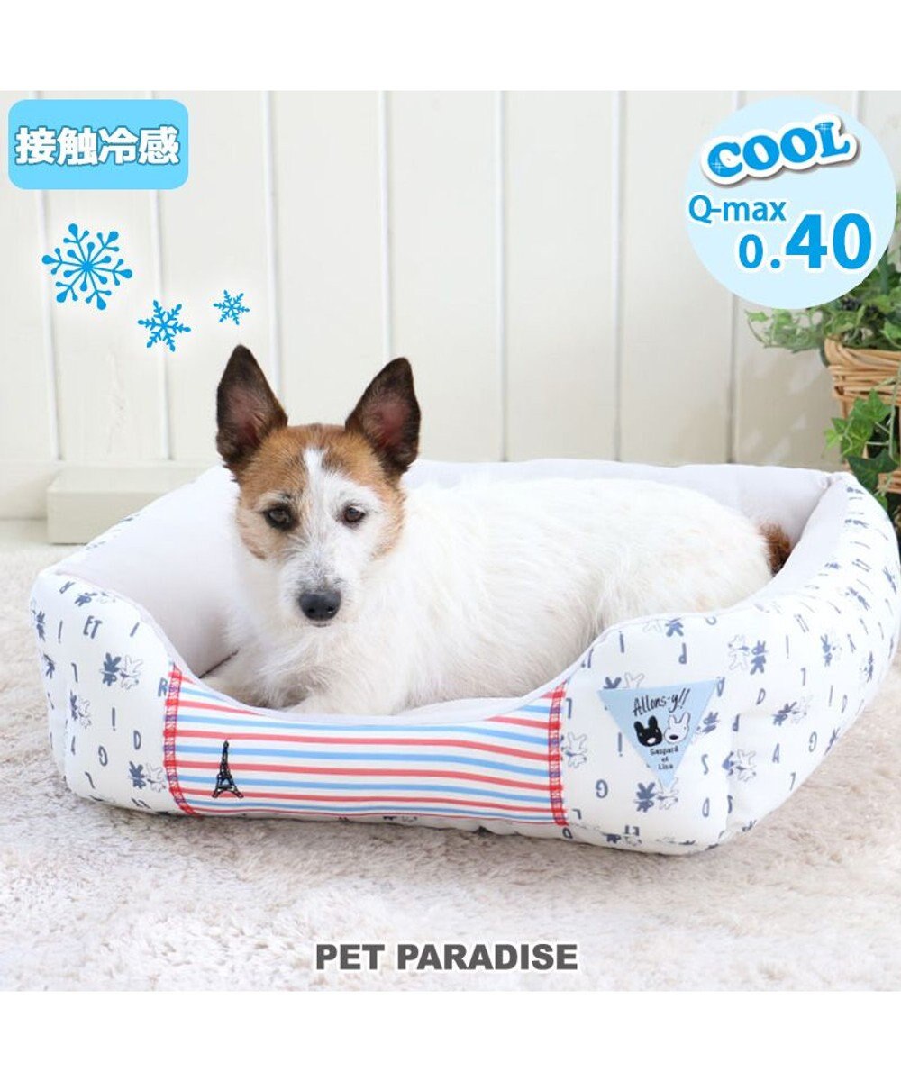 犬 ベッド ひんやり 春夏 接触冷感 クール リサとガスパール カドラー ベッド 57 45cm 四角 ロゴ柄 ひんやり 涼感 冷却 クール 洗える 犬 猫 ペットベット ハウス 小型犬 介護夏クッション キャラクター Pet Paradise 通販 雑貨とペット用品の通販サイト 犬 ベッド ひんやり 春夏 接触冷感 クール リサとガスパール カドラー ベッド 57 45cm 四角 ロゴ柄 ひんやり 涼感 冷却 クール 洗える 犬 猫 ペットベット ハウス 小型犬 介護夏クッション キャラクター Pet Paradise 通販 雑貨とペット用品の通販サイト