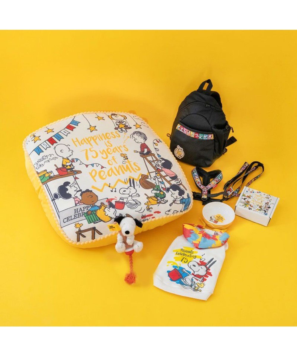 PET PARADISE スヌーピー 75周年 ロープトイ  小型犬