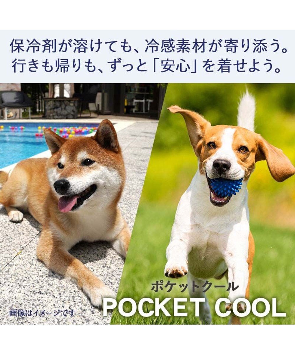 PET PARADISE ペットパラダイス くまちゃん フード付き クール ベスト 小型犬 