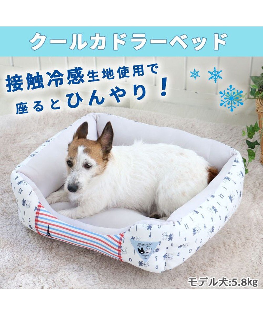 犬 ベッド ひんやり 春夏 接触冷感 クール リサとガスパール カドラー ベッド 57 45cm 四角 ロゴ柄 ひんやり 涼感 冷却 クール 洗える 犬 猫 ペットベット ハウス 小型犬 介護夏クッション キャラクター Pet Paradise 通販 雑貨とペット用品の通販サイト 犬 ベッド ひんやり 春夏 接触冷感 クール リサとガスパール カドラー ベッド 57 45cm 四角 ロゴ柄 ひんやり 涼感 冷却 クール 洗える 犬 猫 ペットベット ハウス 小型犬 介護夏クッション キャラクター Pet Paradise 通販 雑貨とペット用品の通販サイト