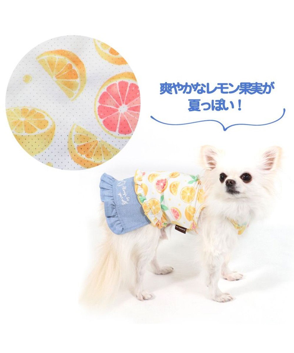 大型犬服 クールタンクトップ ~レモン~ 犬用品 | www.vinoflix.com