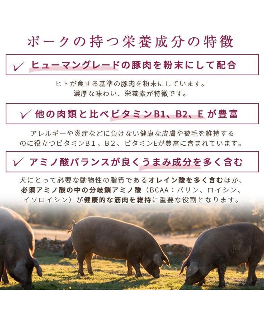 PET PARADISE ≪配合リニューアル≫ ペットパラダイス 国産 ドッグフード フローラ 1kg