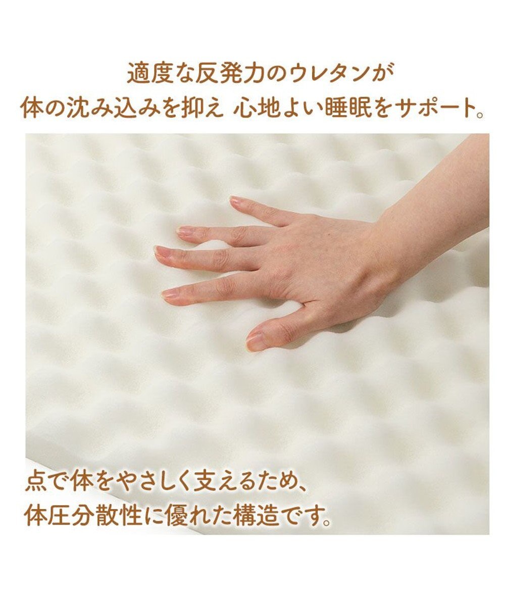 PET PARADISE ペットパラダイス makokoro シニアベッド 《犬柄》 Ｌ 