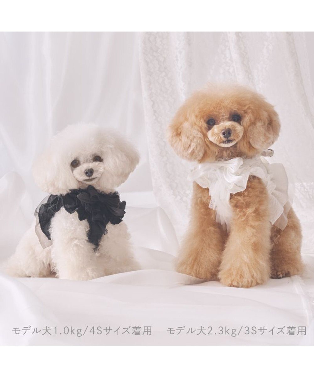 cherircouture フリフリハーネス 《ブラック》 小型犬 4S/3S