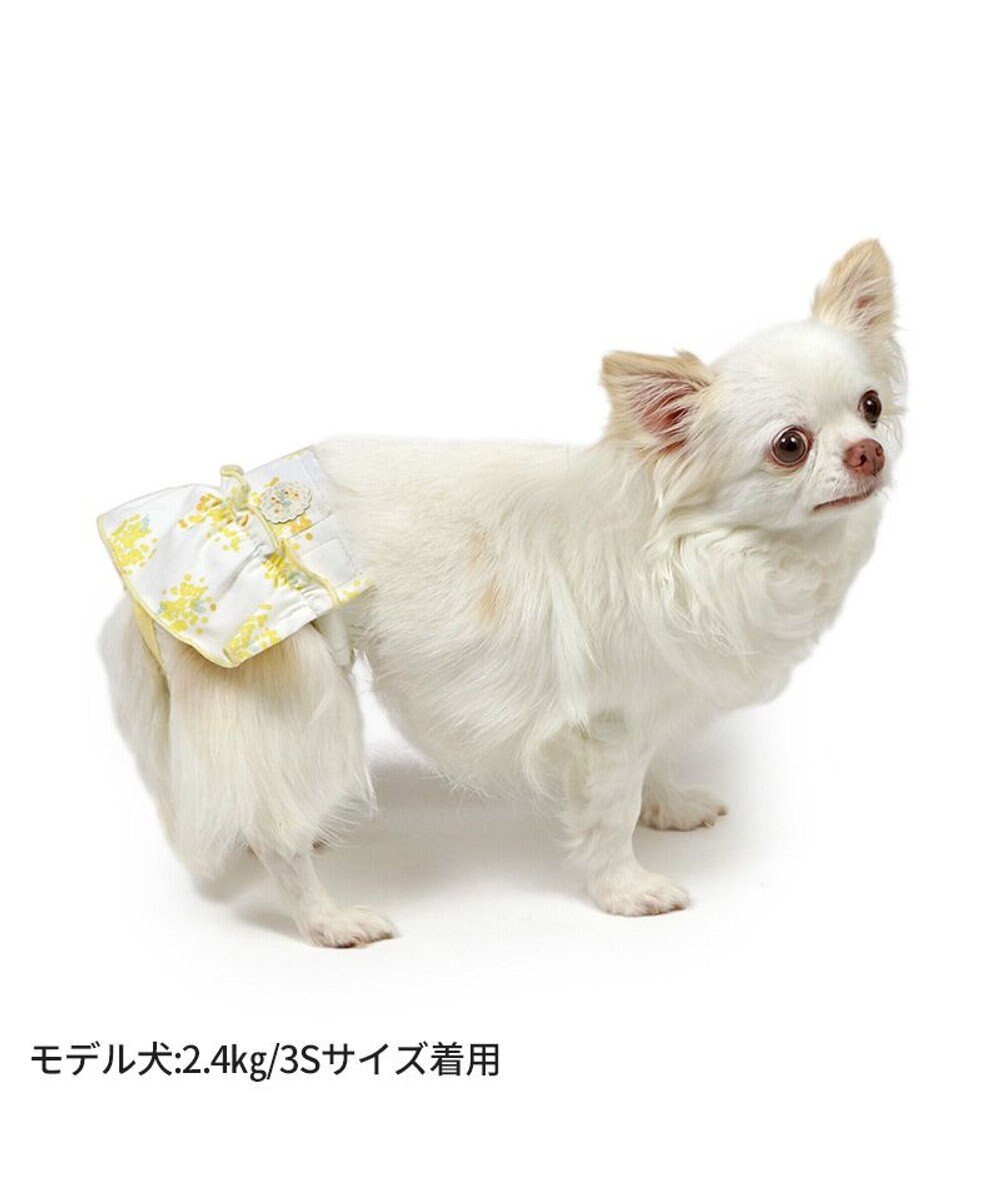 PET PARADISE ペットパラダイス サニタリーパンツ 《ミモザ柄》 小型犬 