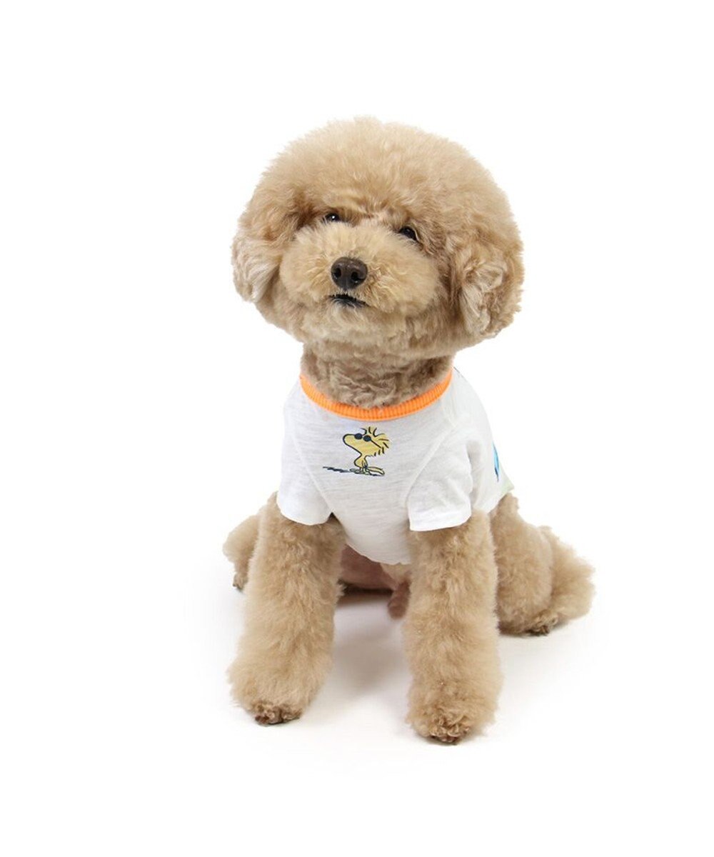 PET PARADISE スヌーピー UV反応 色が変わるTシャツ 《ビーチ柄》 小型犬 