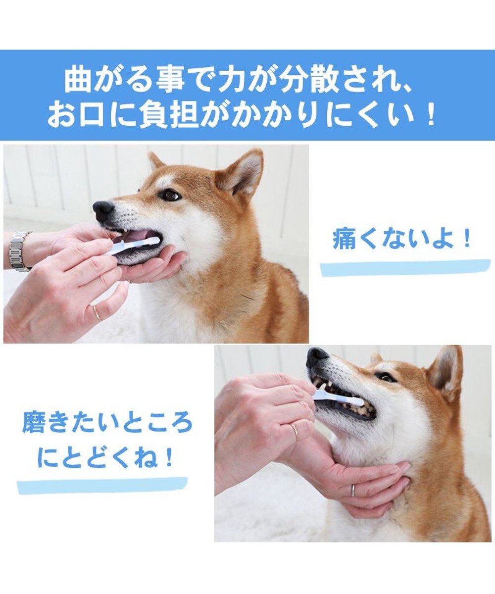 PET PARADISE ペットパラダイス 曲がる歯ブラシ 全犬種用 
