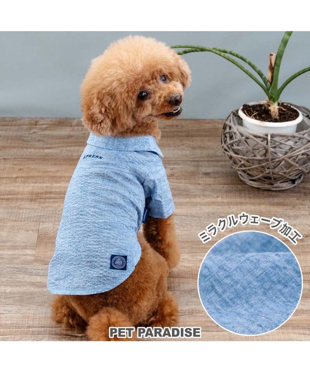 PET PARADISE J.PRESS 杢 ウェーブシャツ 《水色》 小型犬 ライトブルー