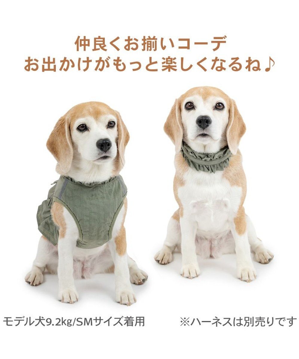 PET PARADISE ペットパラダイス ペタルオリーブ首輪 Ｌ 