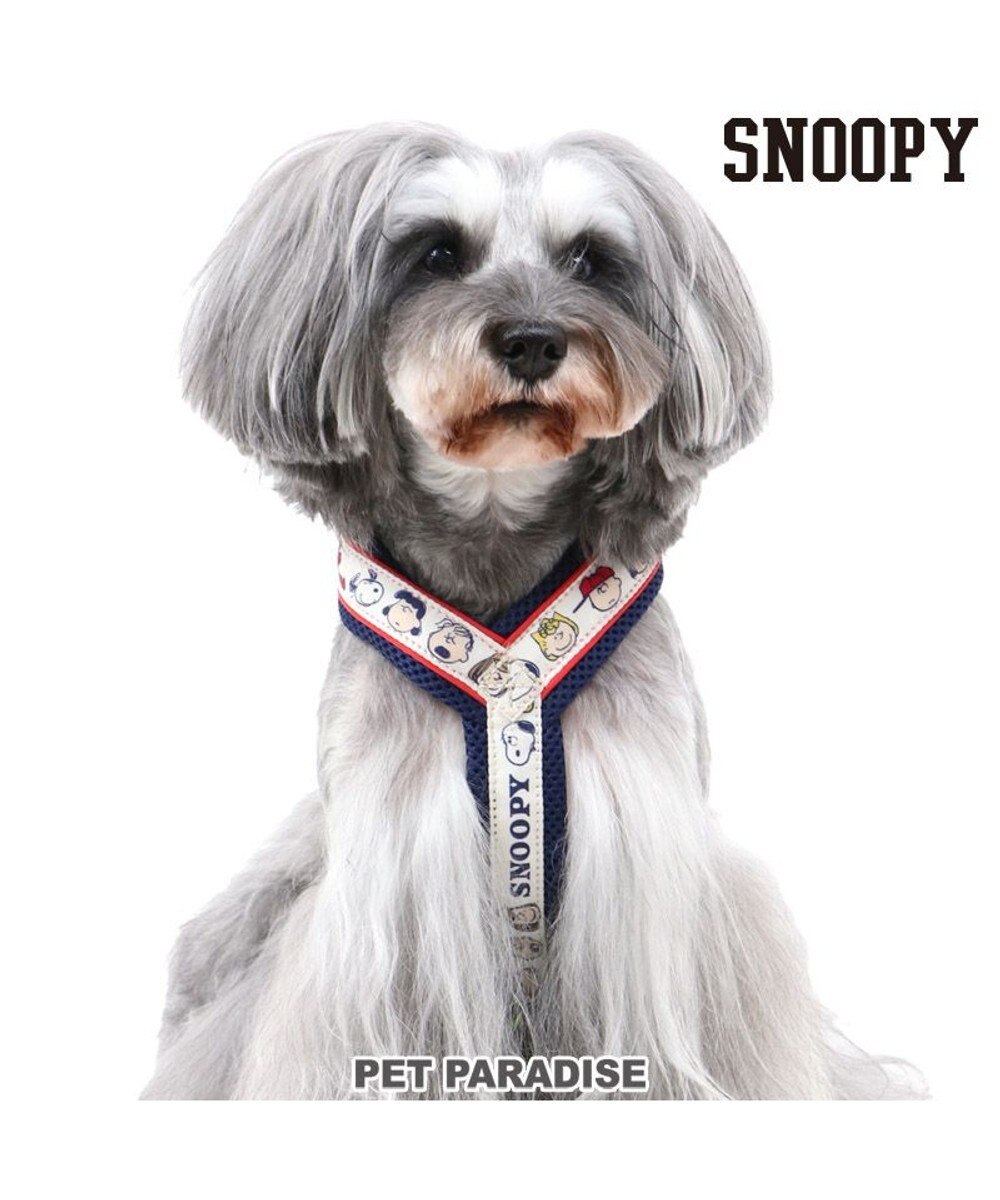 犬 ハーネス スヌーピー アクティブハーネス ss エモーション 小型犬 おさんぽ おでかけ お出掛け おしゃれ オシャレ かわいい Pet Paradise 通販 雑貨とペット用品の通販サイト マザーガーデン ペットパラダイス 犬 ハーネス スヌーピー アクティブハーネス ss エモーション 小型犬 おさんぽ おでかけ お出掛け おしゃれ オシャレ かわいい Pet Paradise 通販 雑貨とペット用品の通販サイト マザーガーデン ペットパラダイス