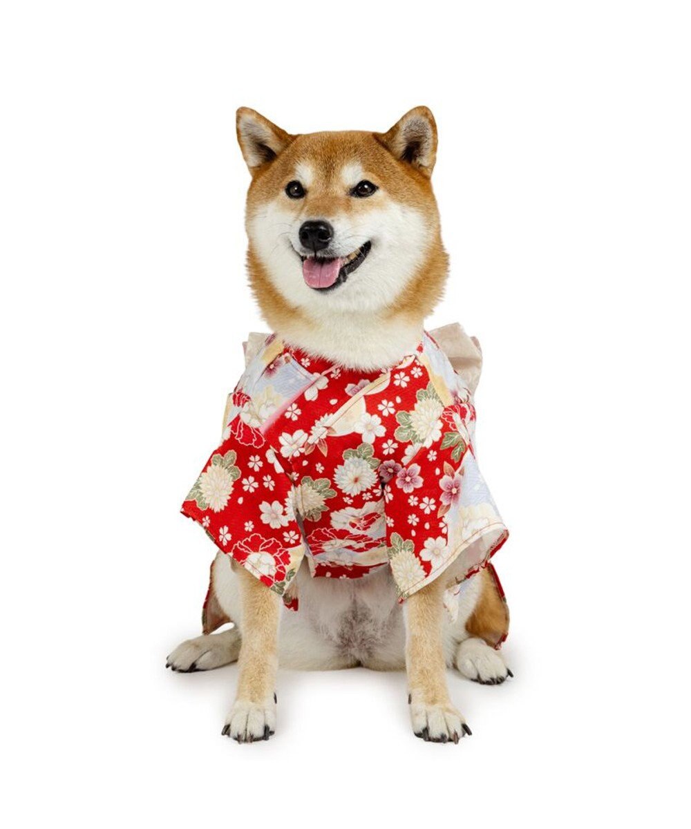 PET PARADISE ペットパラダイス 菊 牡丹 着物 中型犬 大型犬 