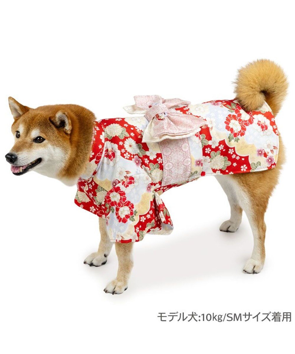PET PARADISE ペットパラダイス 菊 牡丹 着物 中型犬 大型犬 