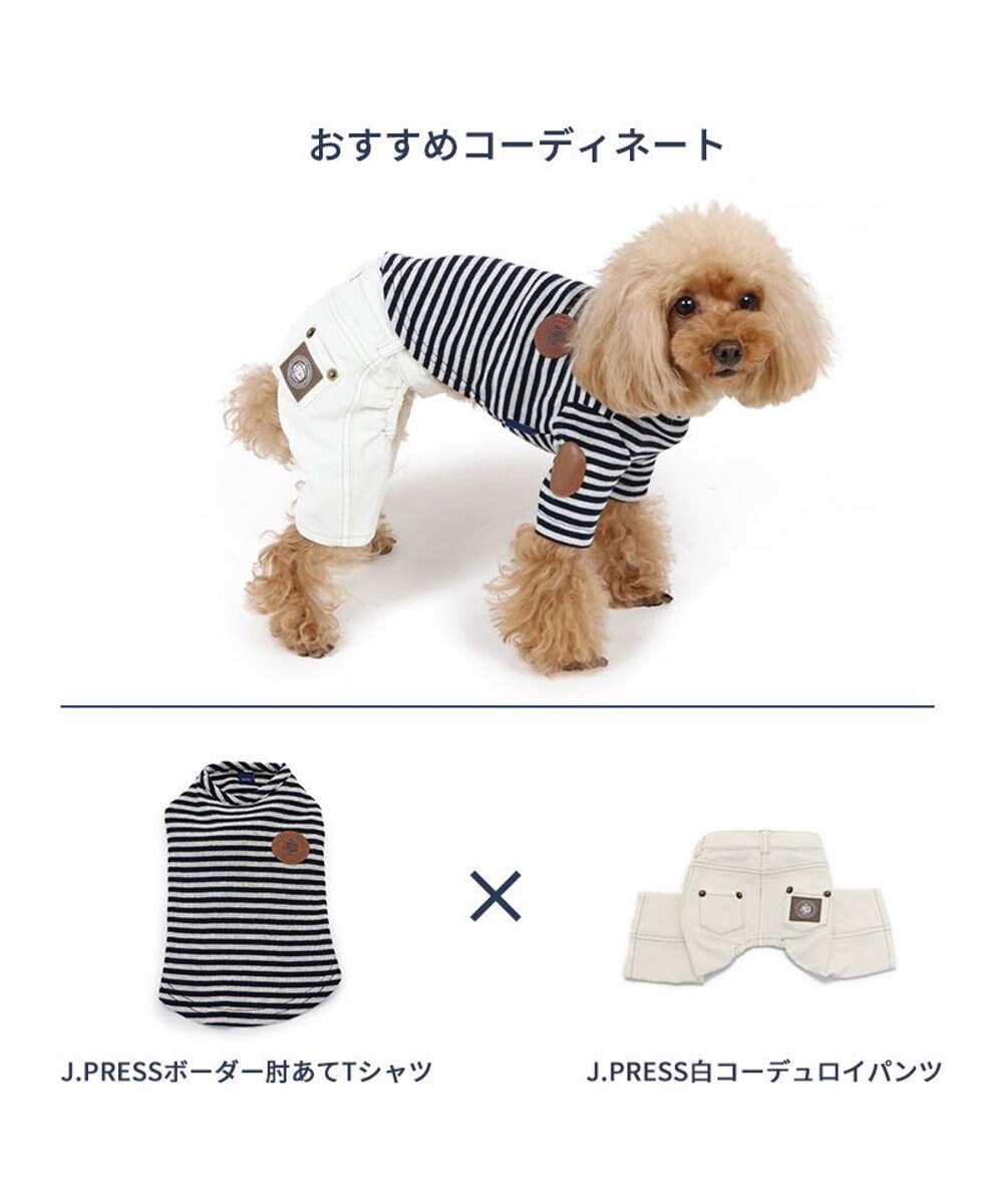 犬 服 J.PRESS パンツ 【小型犬】 ホワイトコーデュロイ / PET