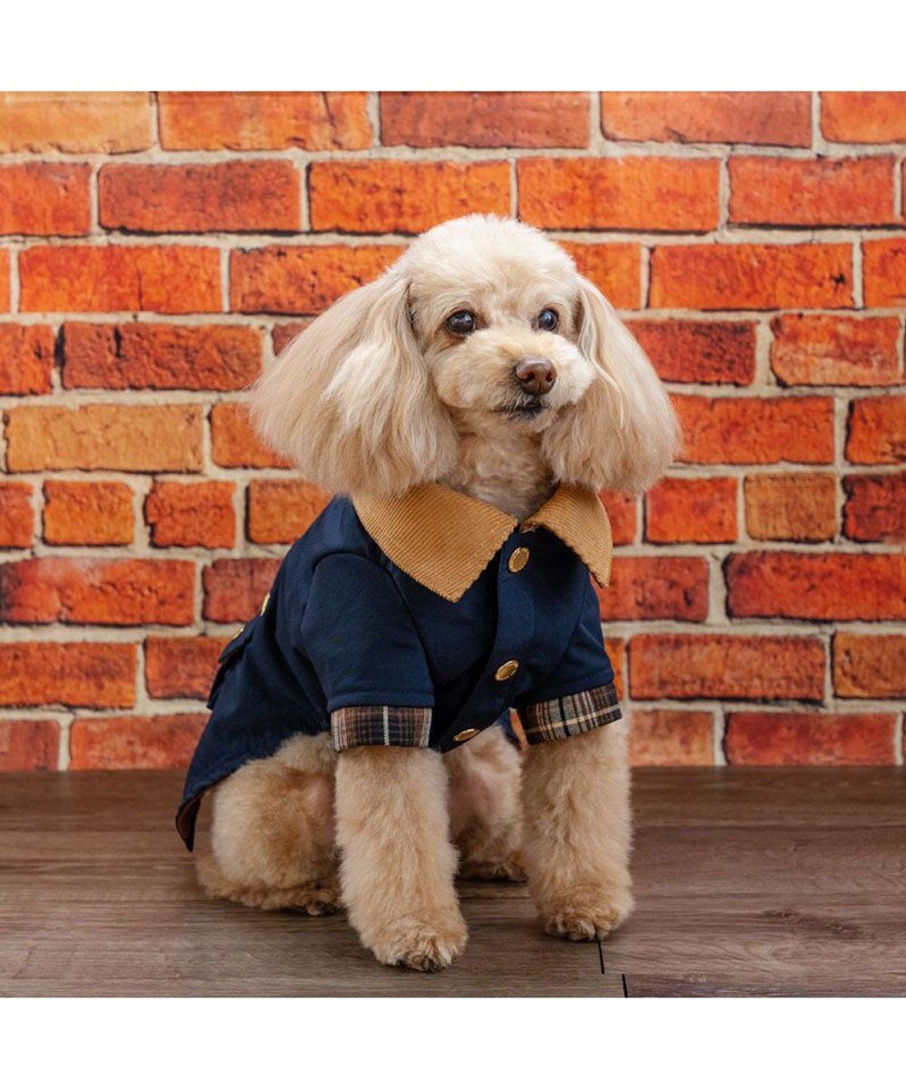 PET PARADISE ペットパラダイス 襟付き ジャケット 小型犬 