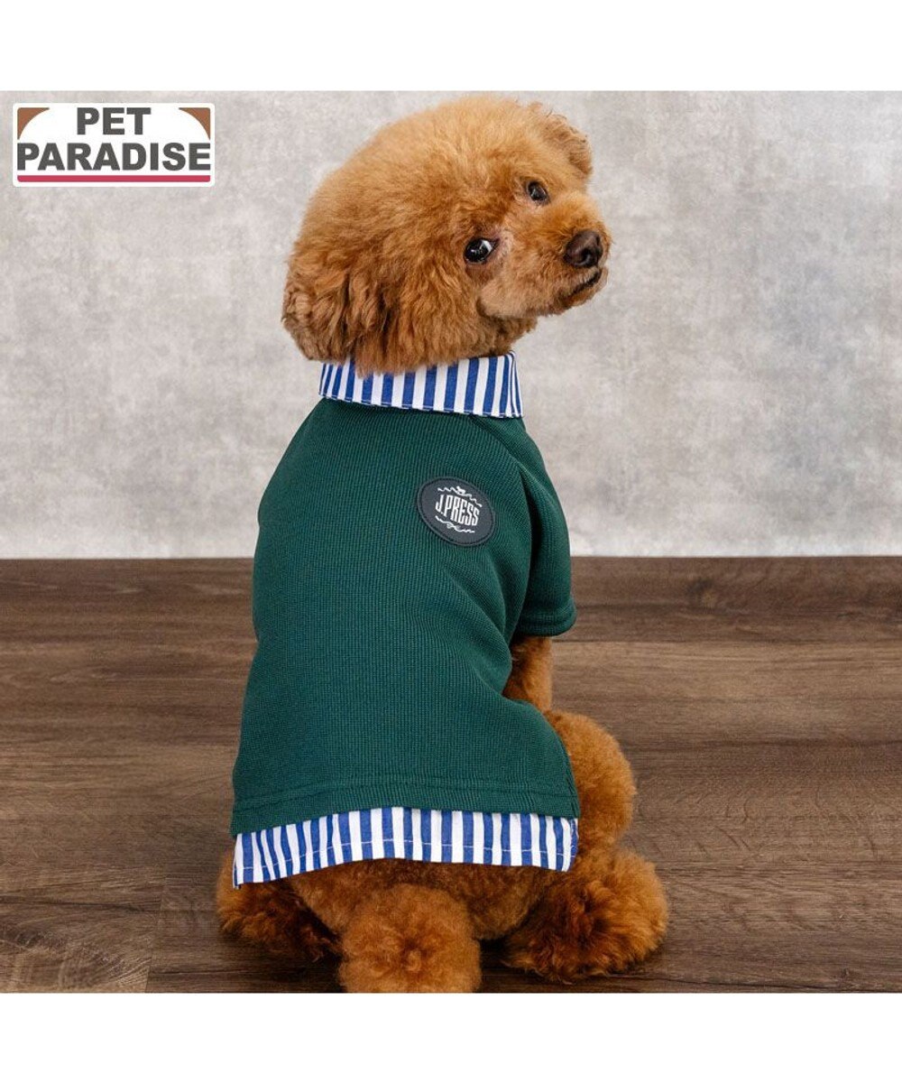 PET PARADISE J.PRESS フライス ポロシャツ 小型犬