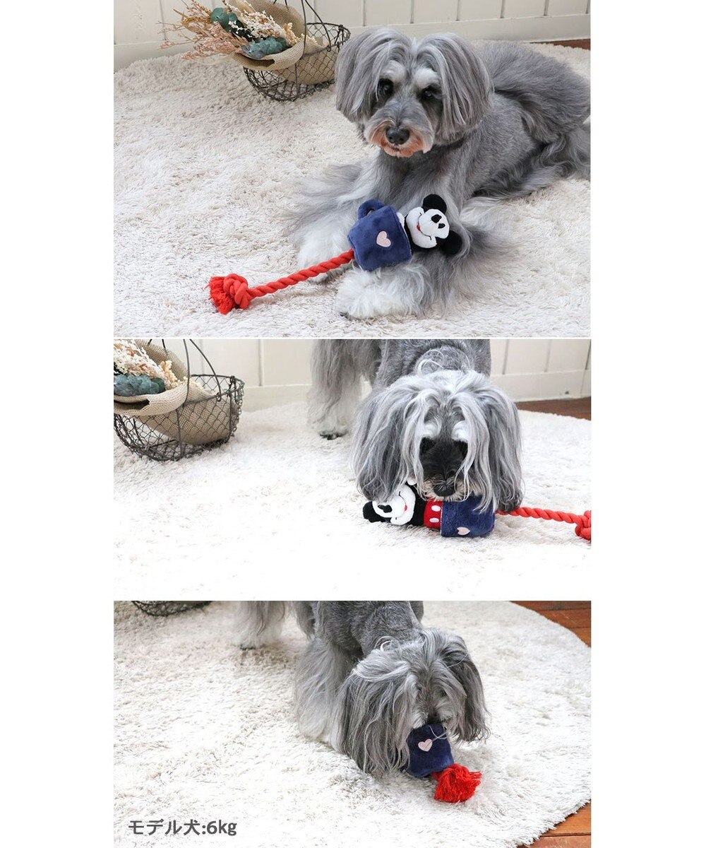 PET PARADISE ディズニー飛び出すロープトイ 《ミッキー/ミニー/プルート》 