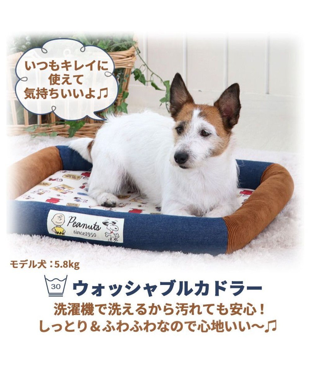 犬 カドラー スヌーピー カドラーベッド 57 45cm ウォッシャブル 洗える 犬 猫 ペットベット ハウス 小型犬 介護夏クッション Pet Paradise 通販 雑貨とペット用品の通販サイト マザーガーデン ペットパラダイス 犬 カドラー スヌーピー カドラーベッド 57 45cm ウォッシャブル 洗える 犬 猫 ペットベット ハウス 小型犬 介護夏クッション Pet Paradise 通販 雑貨とペット用品の通販サイト マザーガーデン ペットパラダイス
