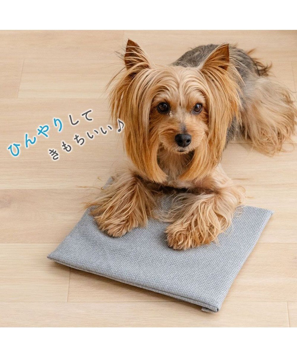 PET PARADISE ペットパラダイス  コンパクトクーラー グレー 2026 