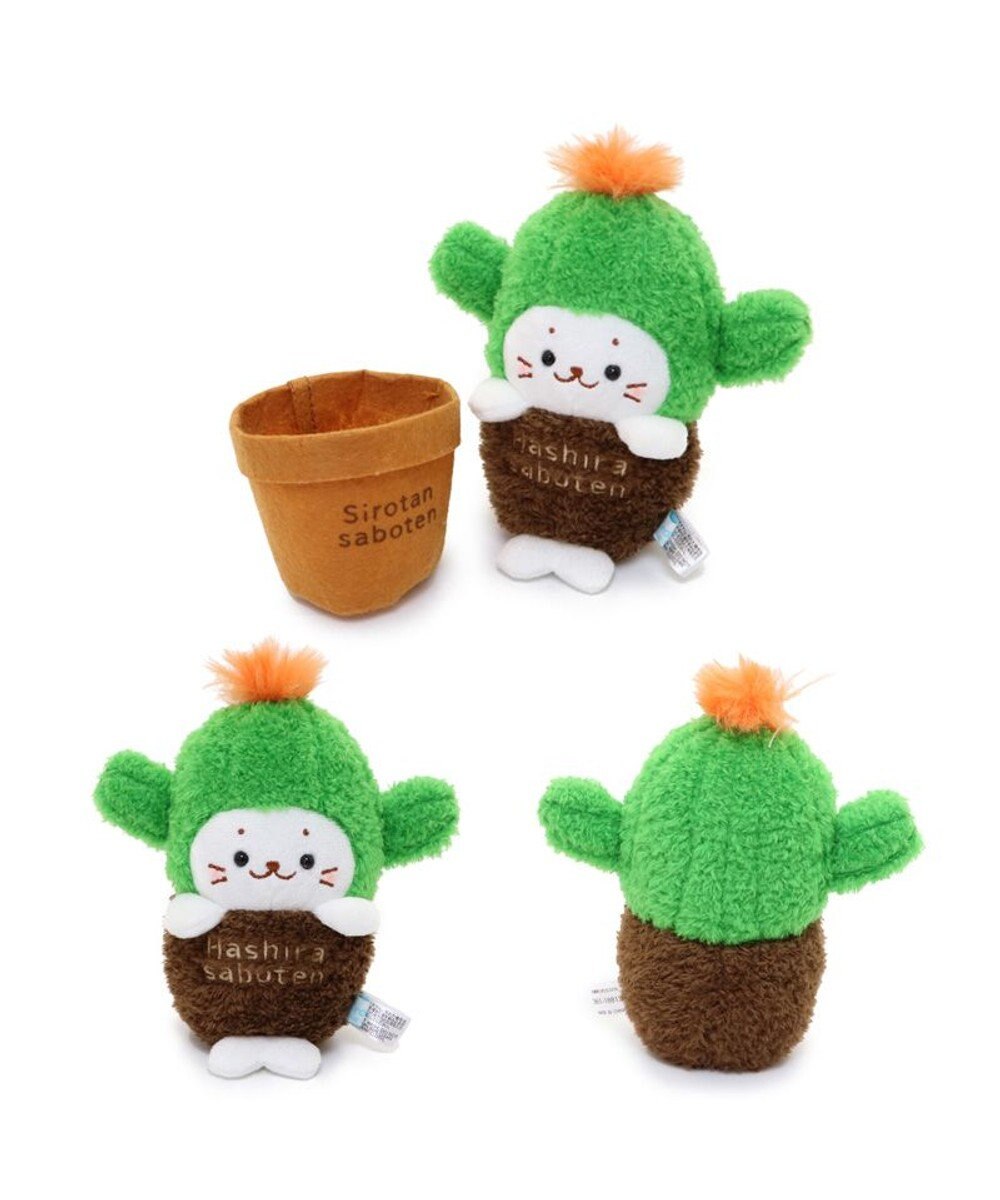 Mother garden しろたん サボテン マスコット 《柱サボテン》 