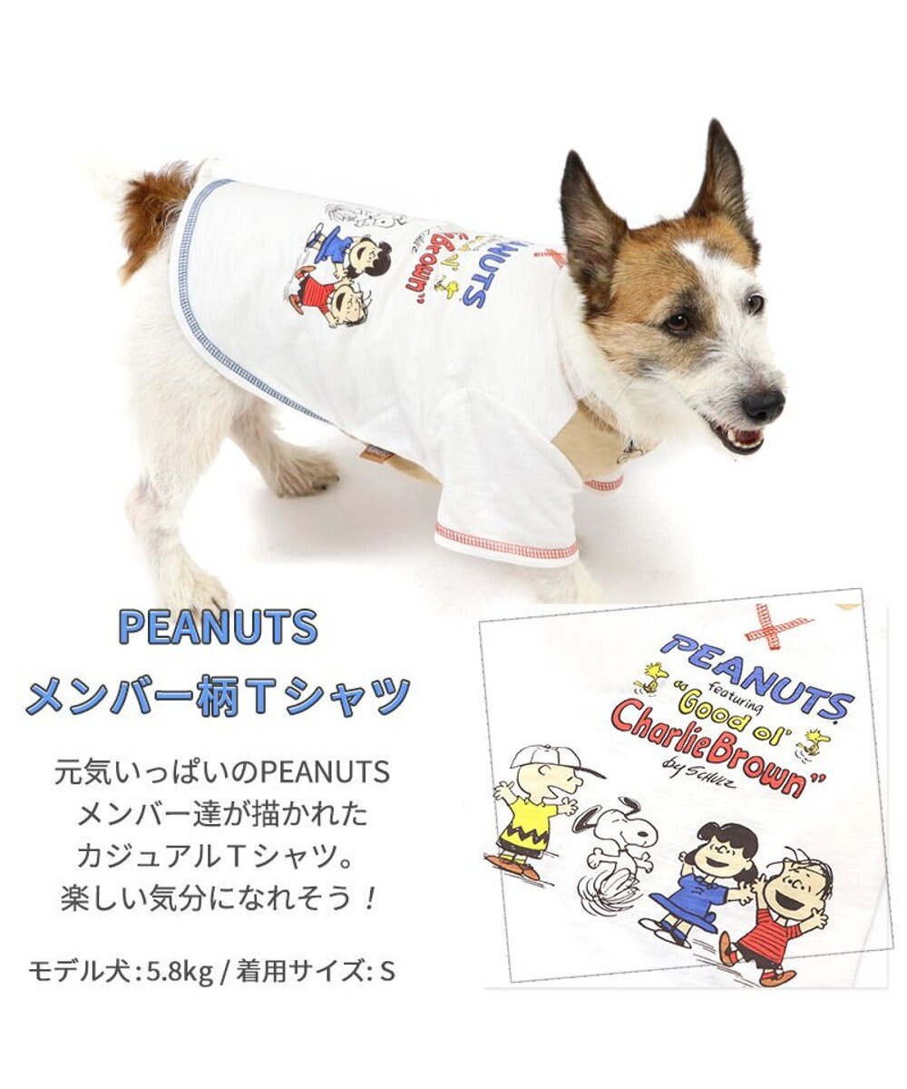 ♥️即購入OK♥️ 綿 犬服 フォントシャツ カジュアル 犬用服 部屋着