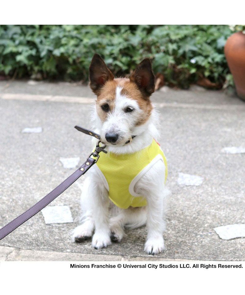 犬 夏服 ひんやり クール 接触冷感 ミニオン タンクトップ 小型犬 サーフ ペットウエア ドッグウエア ドッグウェア イヌ おしゃれ かわいい ひんやり 夏 涼感 冷却 吸水速乾 Pet Paradise 通販 雑貨とペット用品の通販サイト マザーガーデン ペットパラダイス