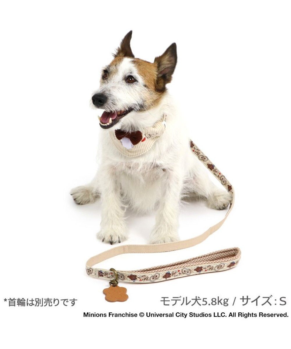 PET PARADISE ミニオン ティム アーガイル リード 小型犬 ～S 