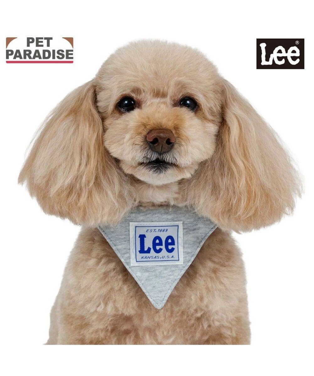 PET PARADISE Lee 両面バンダナ 首輪 Ｓ グレー