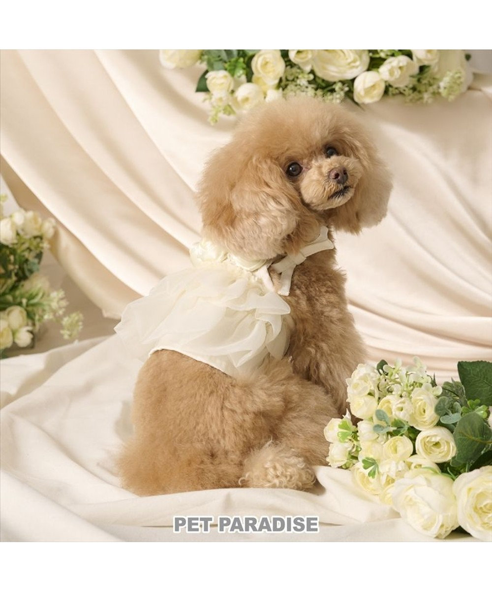 PET PARADISE cherircouture チュールビスチェ 小型犬 ホワイト