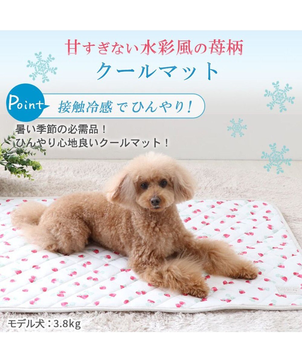 PET PARADISE 接触冷感 柔らか クールマットM《苺 ネイティブ 》 (90×60cm) 
