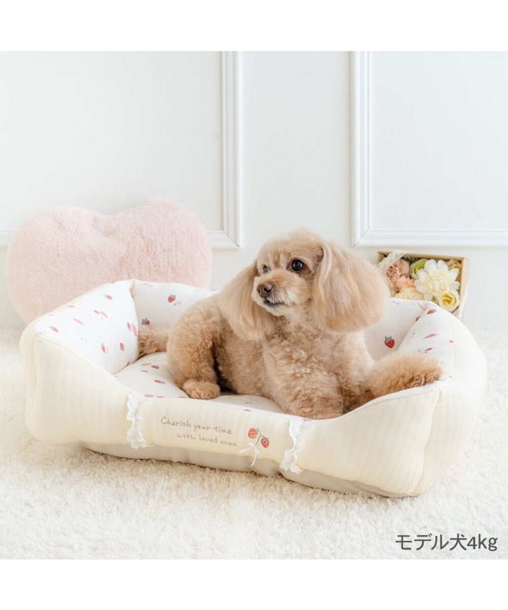 PET PARADISE ペットパラダイス カドラー 《花苺柄》 Ｍ 