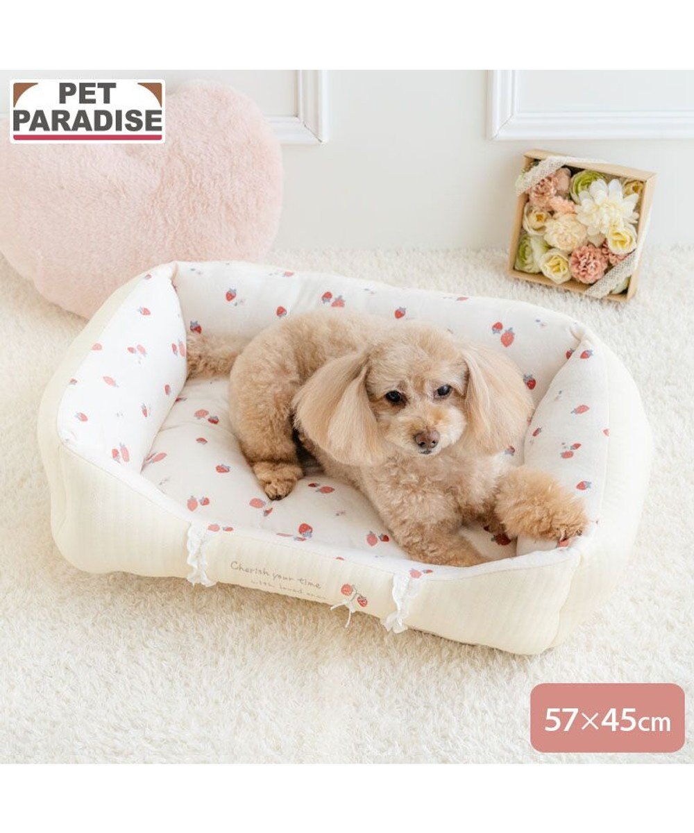 PET PARADISE ペットパラダイス カドラー 《花苺柄》 Ｍ 