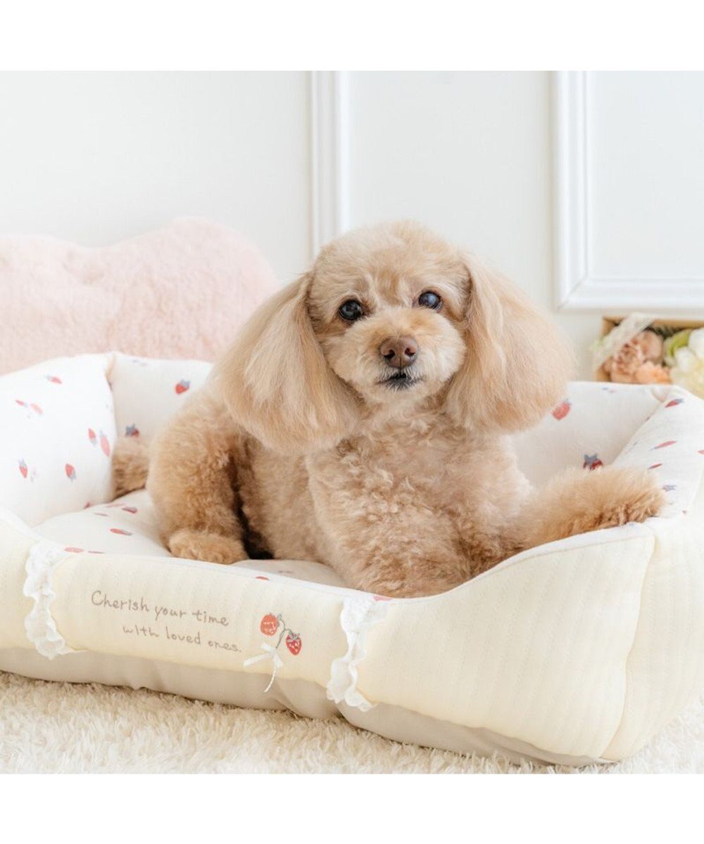 PET PARADISE ペットパラダイス カドラー 《花苺柄》 Ｍ 