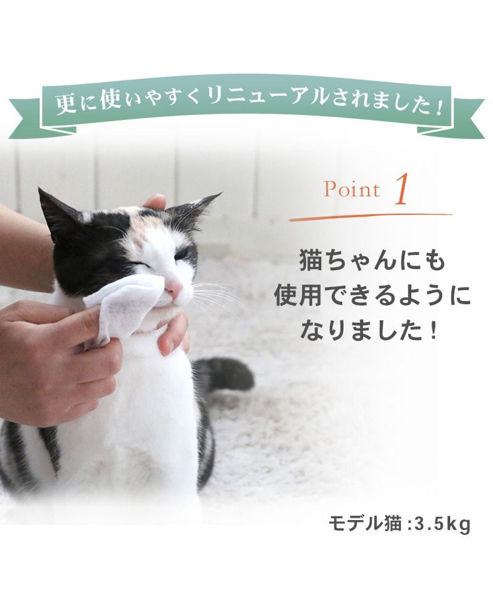 PET PARADISE ペットパラダイス ペット用 涙やけ クリーン シート （60枚入） 