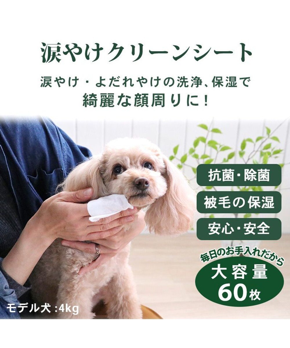 ペットパラダイス ペット用 涙やけ クリーン シート （60枚入） / PET