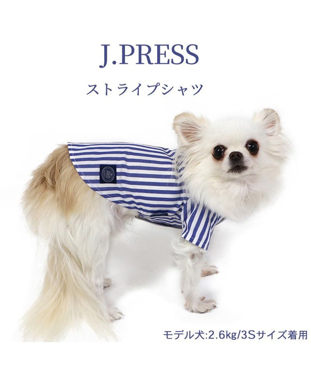 犬の服 犬 J.PRESS ストライプシャツ 【小型犬】, 青, ３Ｓ