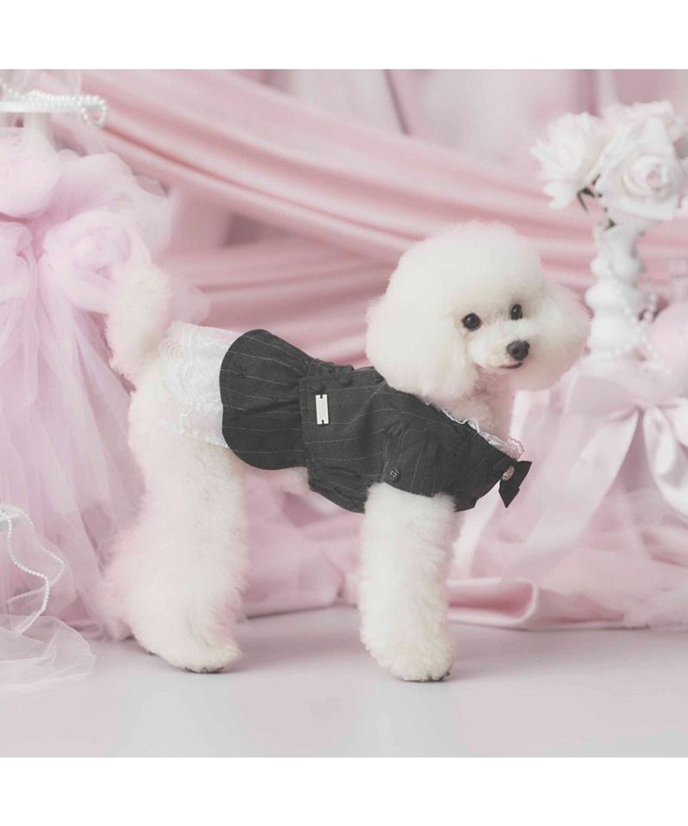 PET PARADISE cherircouture ジャケットワンピース 小型犬 